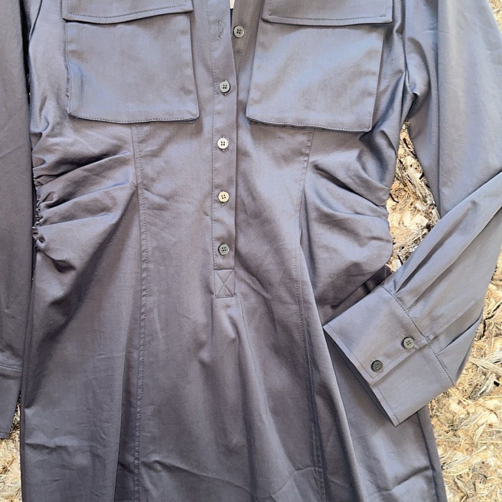 NWT Zara Dress